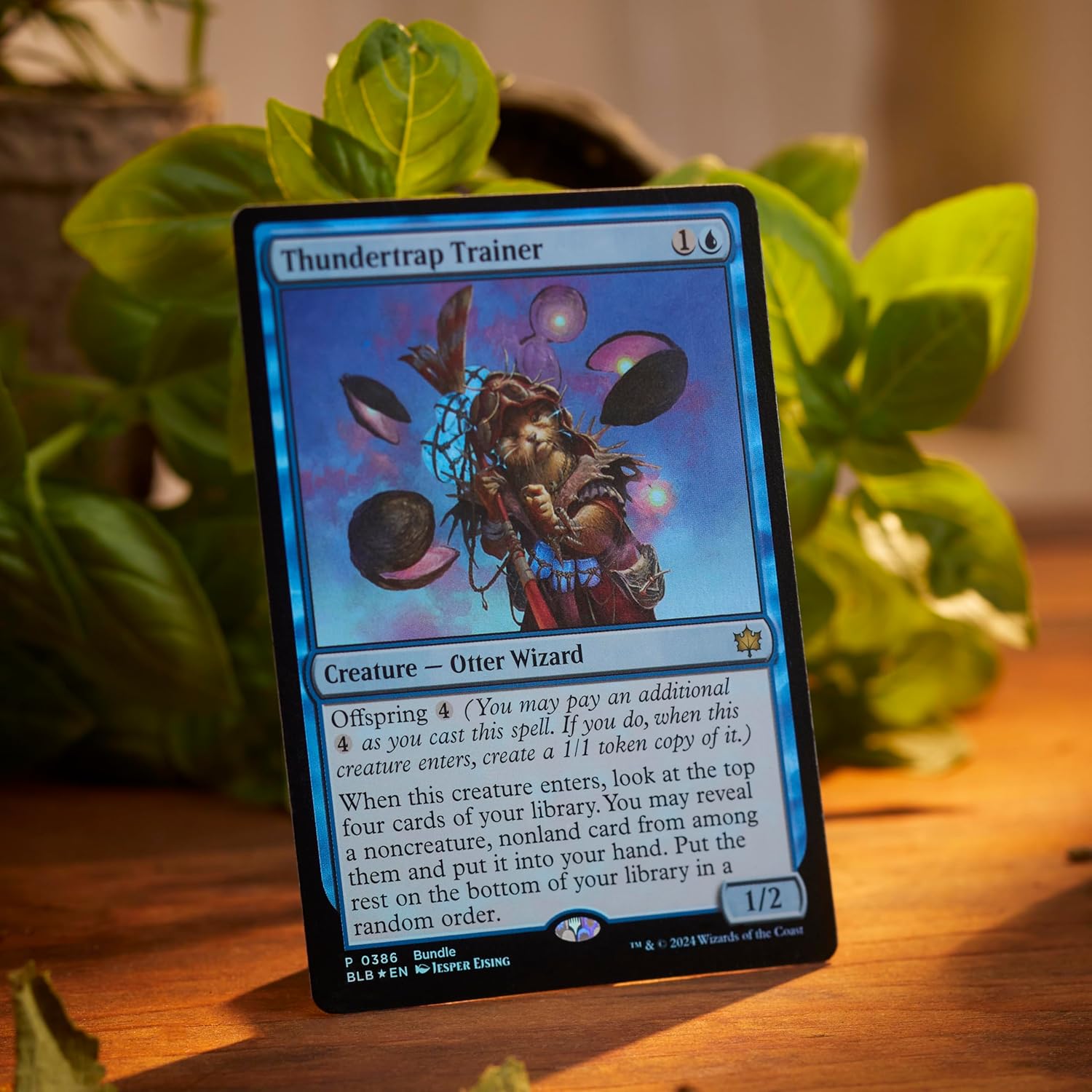 Magic: The Gathering MTG TCG: Bloomburrow Bundle